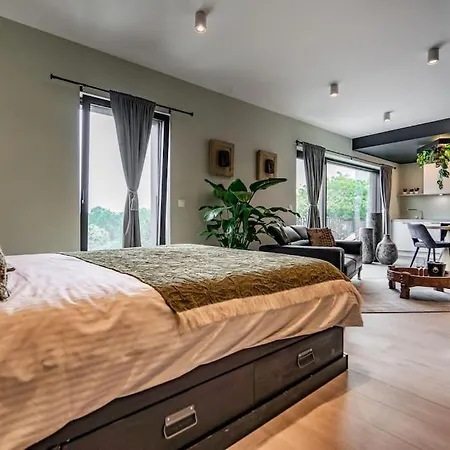 La Ara, Avec Sauna * Liege